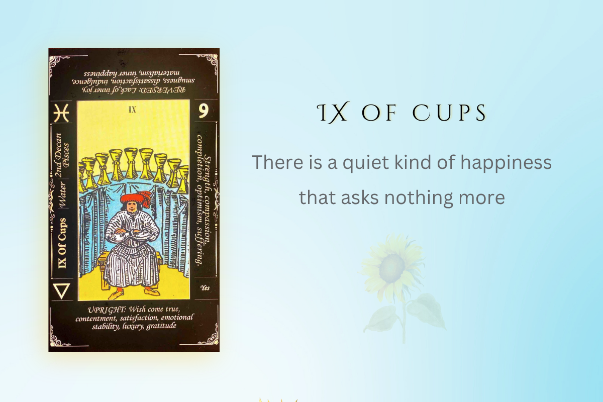 IX of Cups
